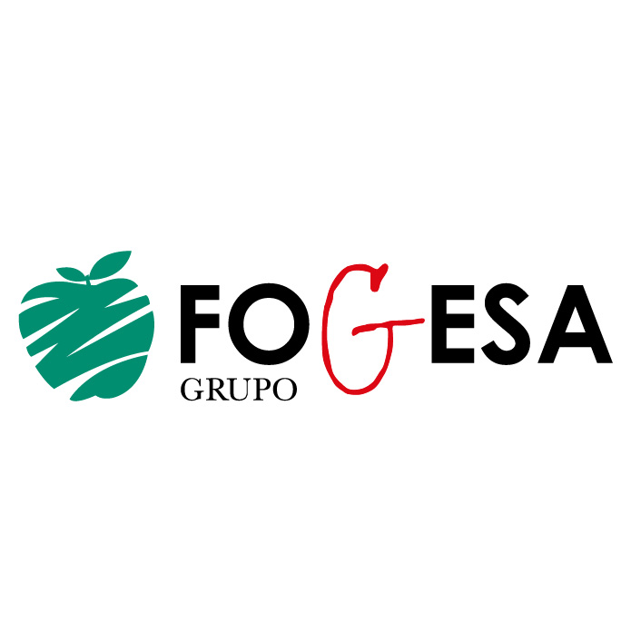 Grupo Fogesa